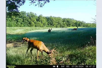 924 Eris Road, Urbana, OH 43078 - Photo 79