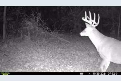 924 Eris Road, Urbana, OH 43078 - Photo 93