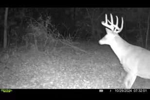 924 Eris Rd, Urbana, OH 43078 - Photo 93