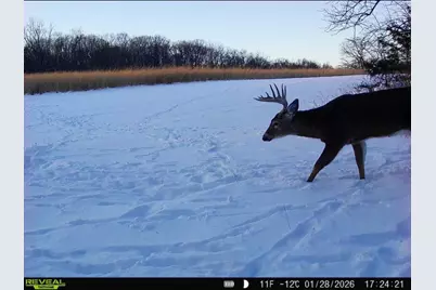 924 Eris Road, Urbana, OH 43078 - Photo 119