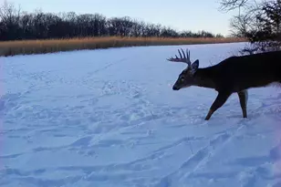 924 Eris Rd, Urbana, OH 43078 - Photo 119