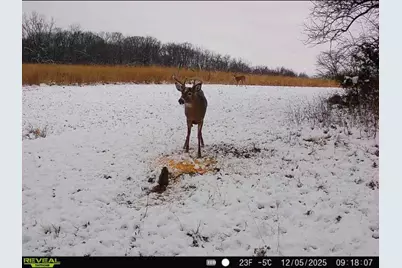 924 Eris Road, Urbana, OH 43078 - Photo 113