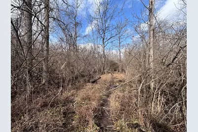 924 Eris Road, Urbana, OH 43078 - Photo 33