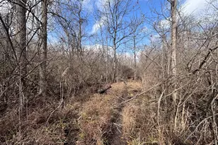 924 Eris Rd, Urbana, OH 43078 - Photo 33