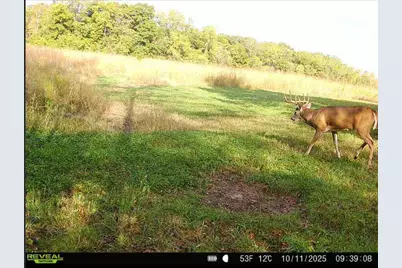 924 Eris Road, Urbana, OH 43078 - Photo 85