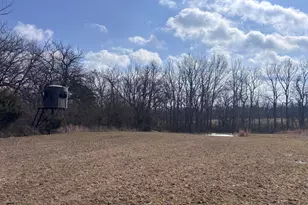 924 Eris Rd, Urbana, OH 43078 - Photo 51