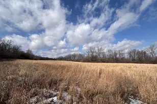 924 Eris Rd, Urbana, OH 43078 - Photo 29