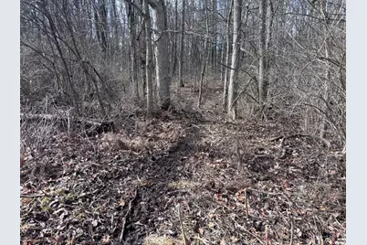 924 Eris Road, Urbana, OH 43078 - Photo 35