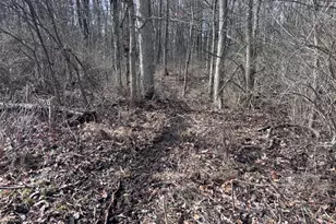 924 Eris Rd, Urbana, OH 43078 - Photo 35