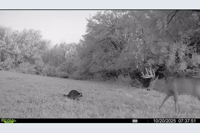 924 Eris Road, Urbana, OH 43078 - Photo 105