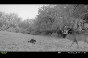 924 Eris Rd, Urbana, OH 43078 - Photo 105