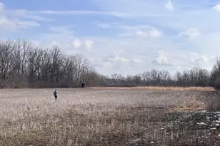 924 Eris Rd, Urbana, OH 43078 - Photo 41