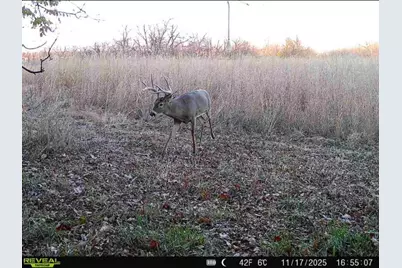 924 Eris Road, Urbana, OH 43078 - Photo 117