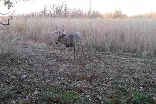 924 Eris Rd, Urbana, OH 43078 - Photo 117