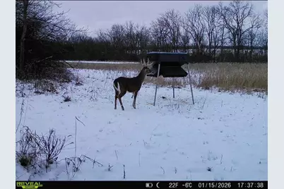 924 Eris Road, Urbana, OH 43078 - Photo 123