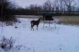 924 Eris Rd, Urbana, OH 43078 - Photo 123