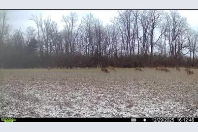 924 Eris Road, Urbana, OH 43078 - Photo 73