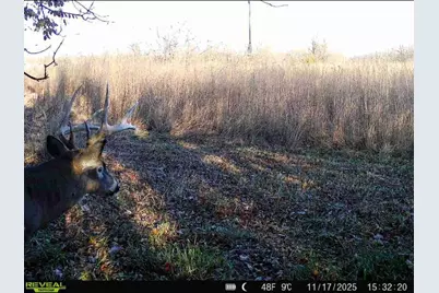 924 Eris Road, Urbana, OH 43078 - Photo 83