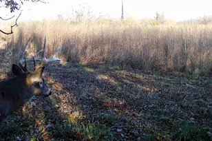 924 Eris Rd, Urbana, OH 43078 - Photo 83