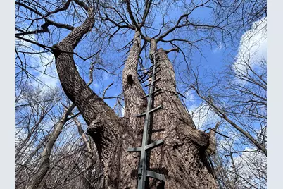 924 Eris Road, Urbana, OH 43078 - Photo 25