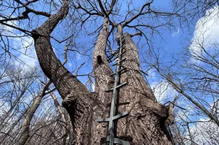 924 Eris Rd, Urbana, OH 43078 - Photo 25