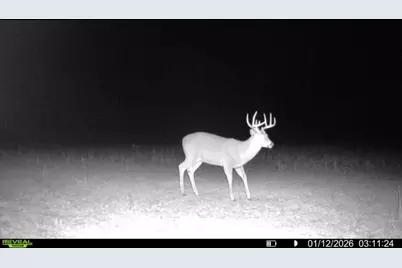 924 Eris Road, Urbana, OH 43078 - Photo 127