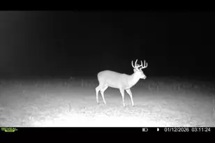 924 Eris Rd, Urbana, OH 43078 - Photo 127