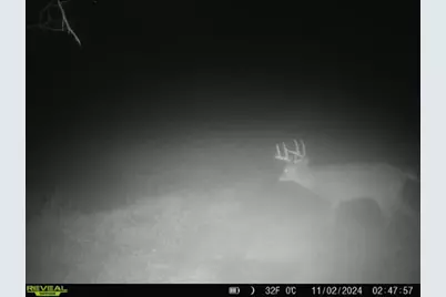 924 Eris Road, Urbana, OH 43078 - Photo 89