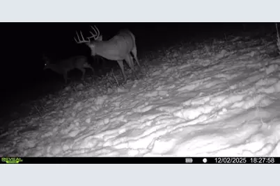 924 Eris Road, Urbana, OH 43078 - Photo 101