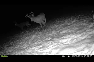 924 Eris Rd, Urbana, OH 43078 - Photo 101