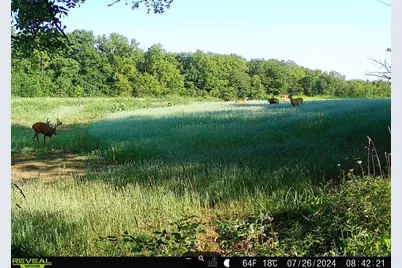 924 Eris Road, Urbana, OH 43078 - Photo 77