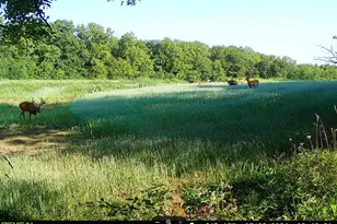 924 Eris Rd, Urbana, OH 43078 - Photo 77