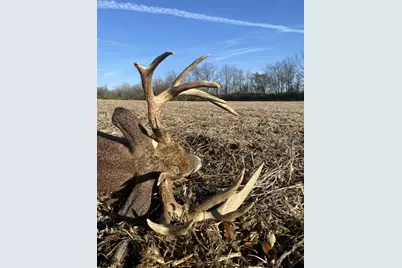 924 Eris Road, Urbana, OH 43078 - Photo 129