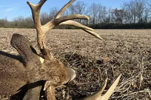 924 Eris Rd, Urbana, OH 43078 - Photo 129