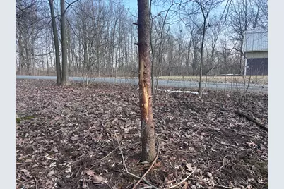 924 Eris Road, Urbana, OH 43078 - Photo 19