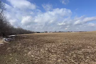 924 Eris Rd, Urbana, OH 43078 - Photo 61