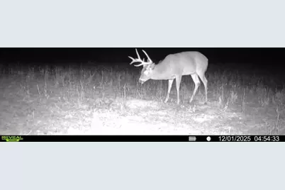 924 Eris Road, Urbana, OH 43078 - Photo 115