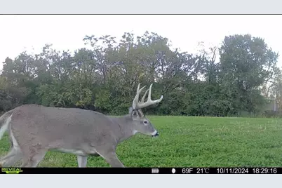 924 Eris Road, Urbana, OH 43078 - Photo 75