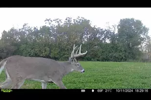 924 Eris Rd, Urbana, OH 43078 - Photo 75