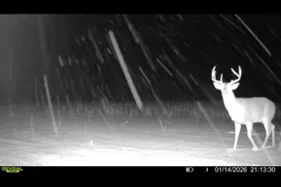 924 Eris Rd, Urbana, OH 43078 - Photo 125