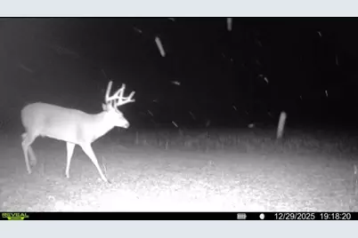 924 Eris Road, Urbana, OH 43078 - Photo 111