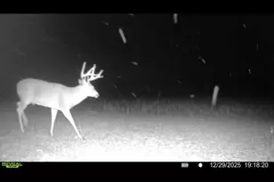 924 Eris Rd, Urbana, OH 43078 - Photo 111