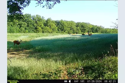 924 Eris Road, Urbana, OH 43078 - Photo 81