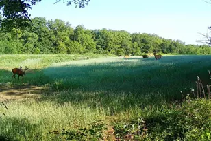 924 Eris Rd, Urbana, OH 43078 - Photo 81