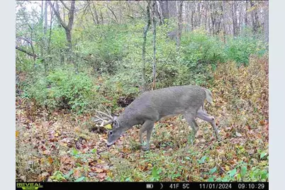 924 Eris Road, Urbana, OH 43078 - Photo 91