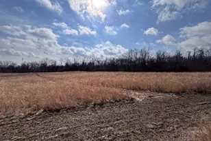 924 Eris Rd, Urbana, OH 43078 - Photo 63