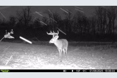 924 Eris Road, Urbana, OH 43078 - Photo 107