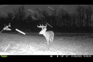 924 Eris Rd, Urbana, OH 43078 - Photo 107