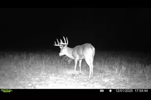 924 Eris Rd, Urbana, OH 43078 - Photo 103