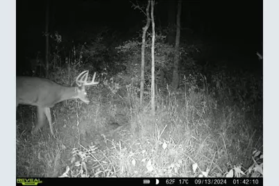 924 Eris Road, Urbana, OH 43078 - Photo 97